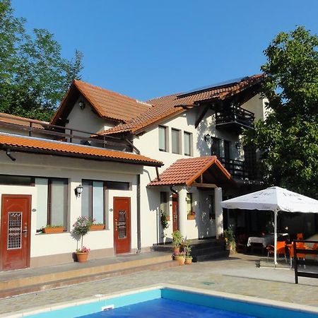 Hotel Vila Europa Sărata-Monteoru Exterior foto