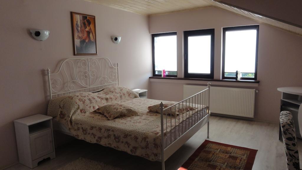Vila Europa Sărata-Monteoru Habitación foto